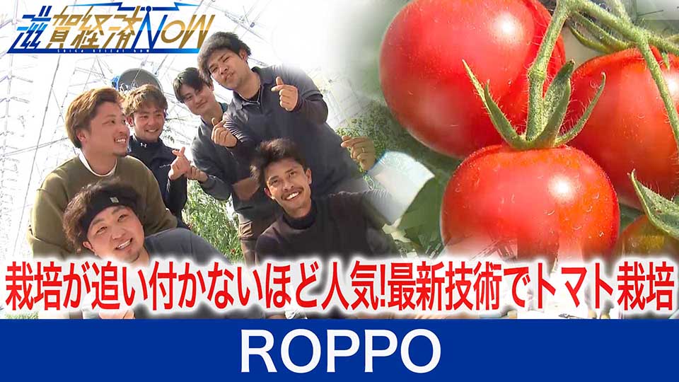 栽培が追い付かないほどの人気に!最新技術でトマトを栽培、若手男性6人の会社ROPPOをご紹介！