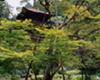 金剛輪寺