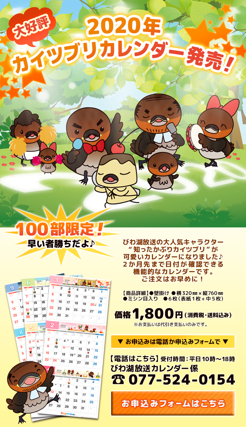 ���Z�싅�n�C���C�gDVD