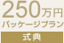 250万円パッケージプラン