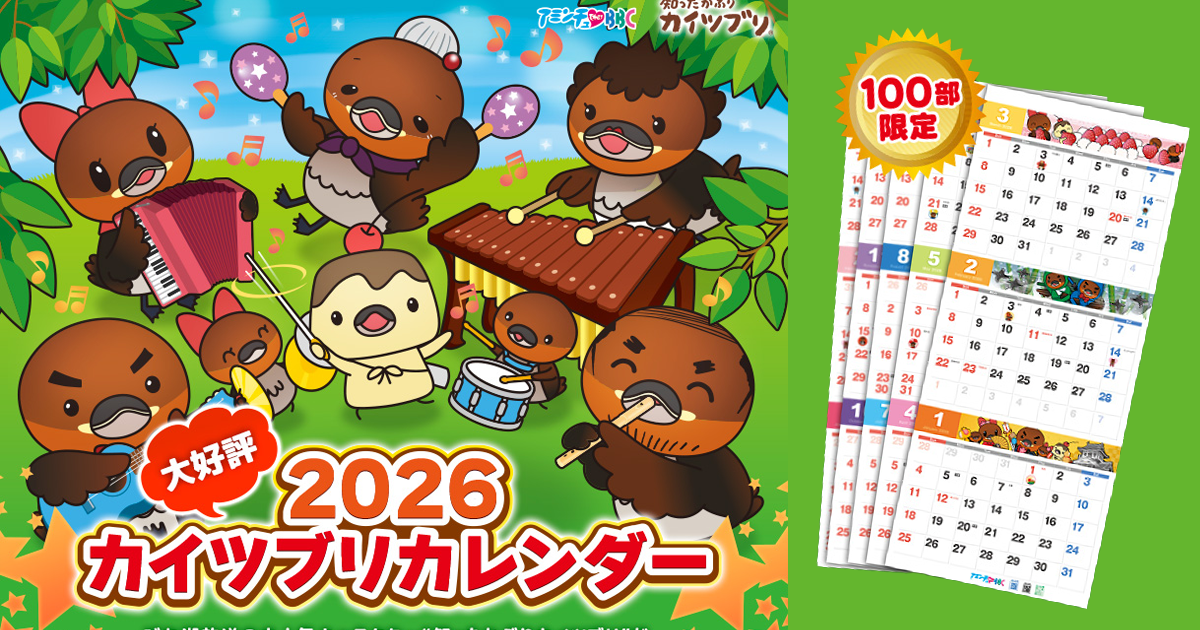 2026カイツブリカレンダー発売！【びわ湖放送】