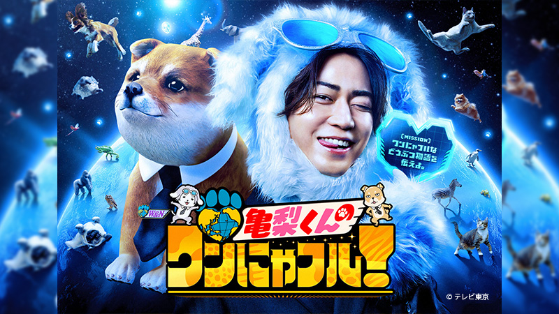 亀梨くんのワンにゃフル！