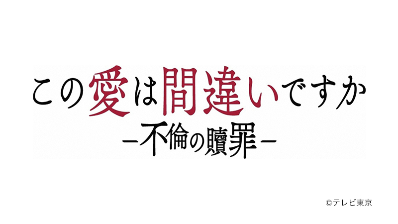 この愛は間違いですか～不倫の贖罪