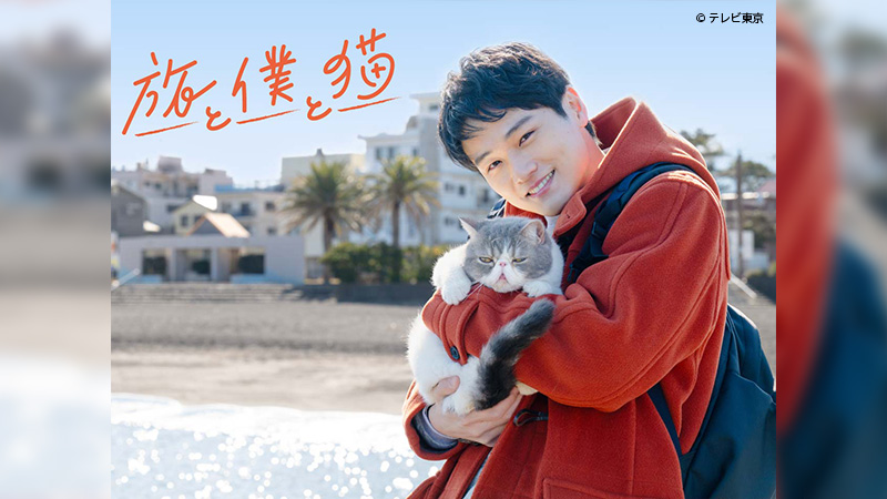 旅と僕と猫