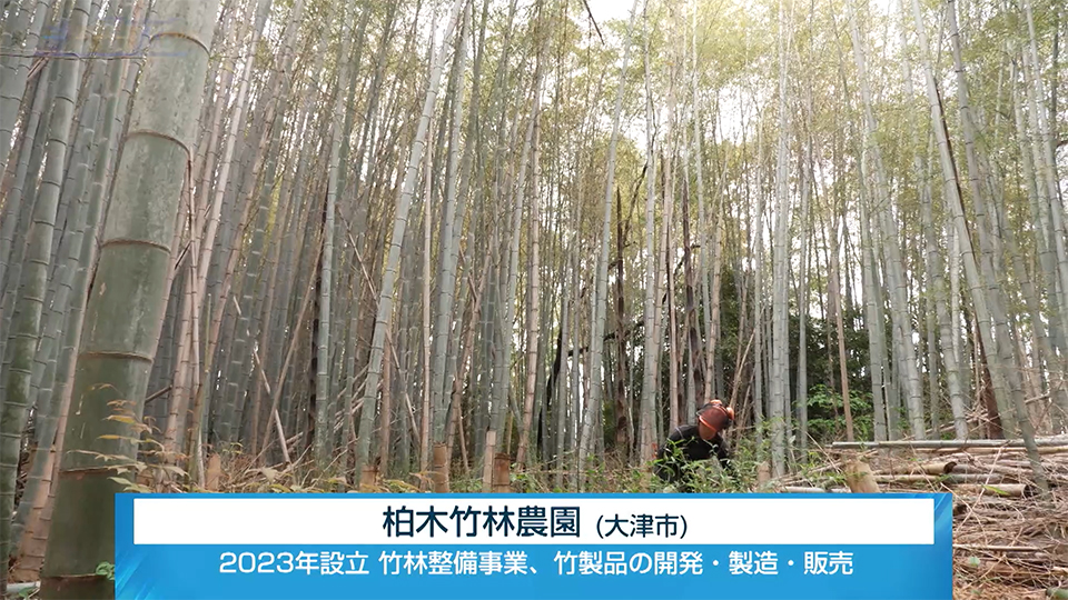 放置竹林は宝の山? 柏木竹林農園(大津市) – 滋賀経済NOW【びわ湖放送】