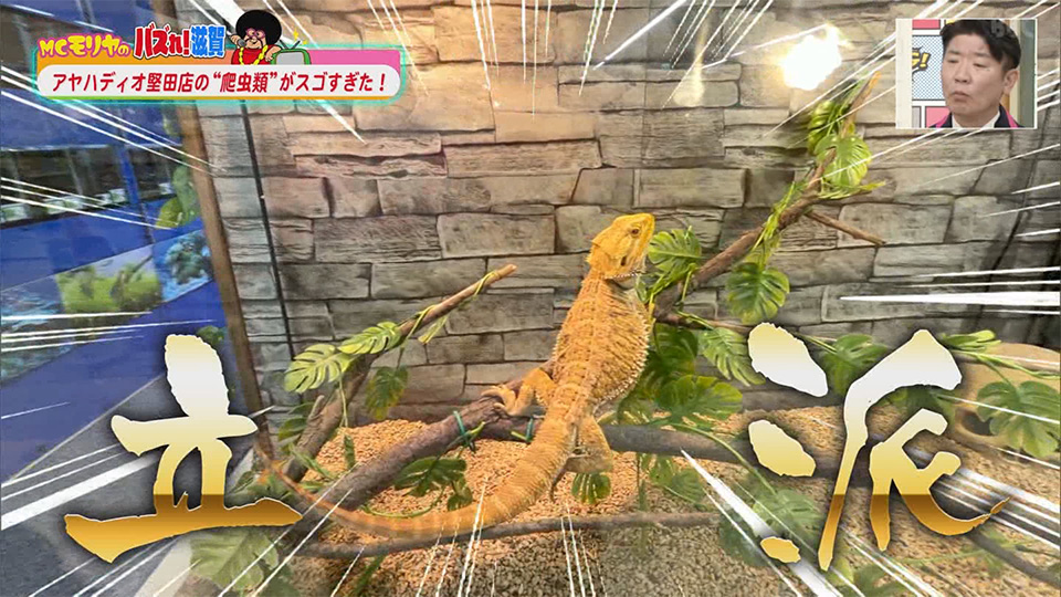 MCモリヤのバズれ！滋賀