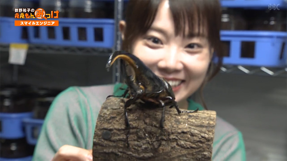 数野祐子のええもんみっけ