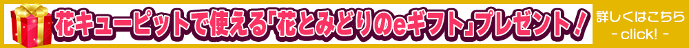 花キューピットで使える｢花とみどりのeギフト｣プレゼント！